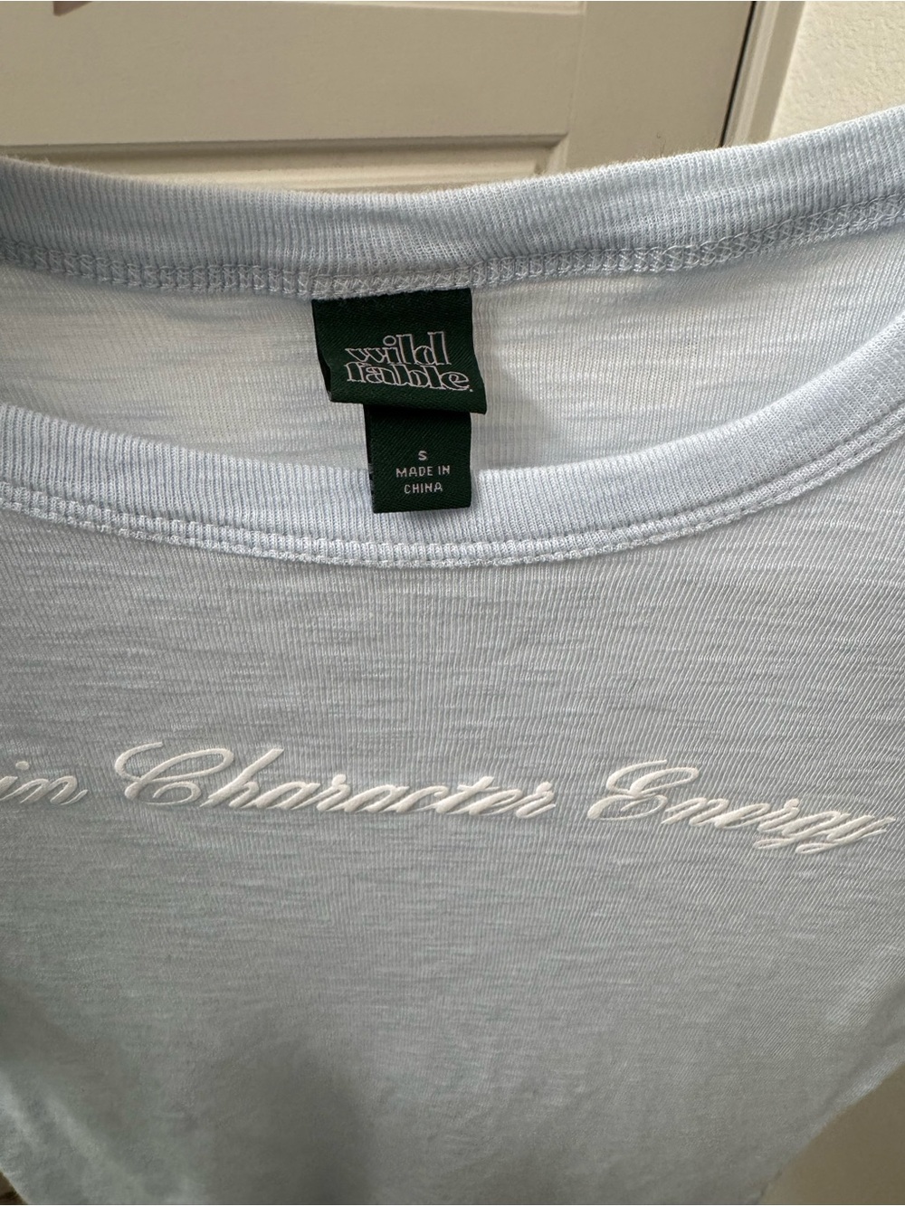 wild fable Pale Blue Embroidered Crewneck Tee